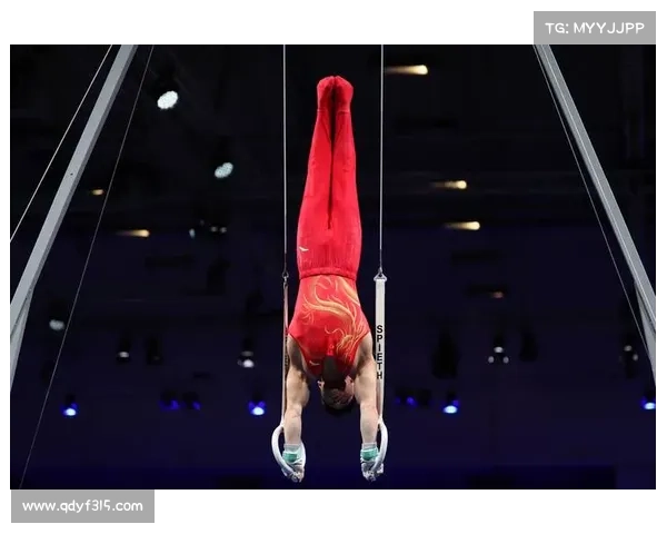 赛事吊环总长 吊环比赛有几个环